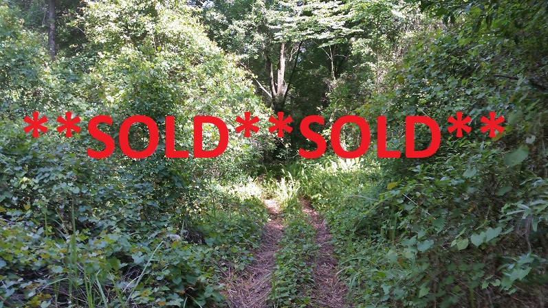 5 Acre Wooded Tracts - Seller Financing - Desirable Area Dade City, Pasco County, Florida 33525 5 Acres SOLD